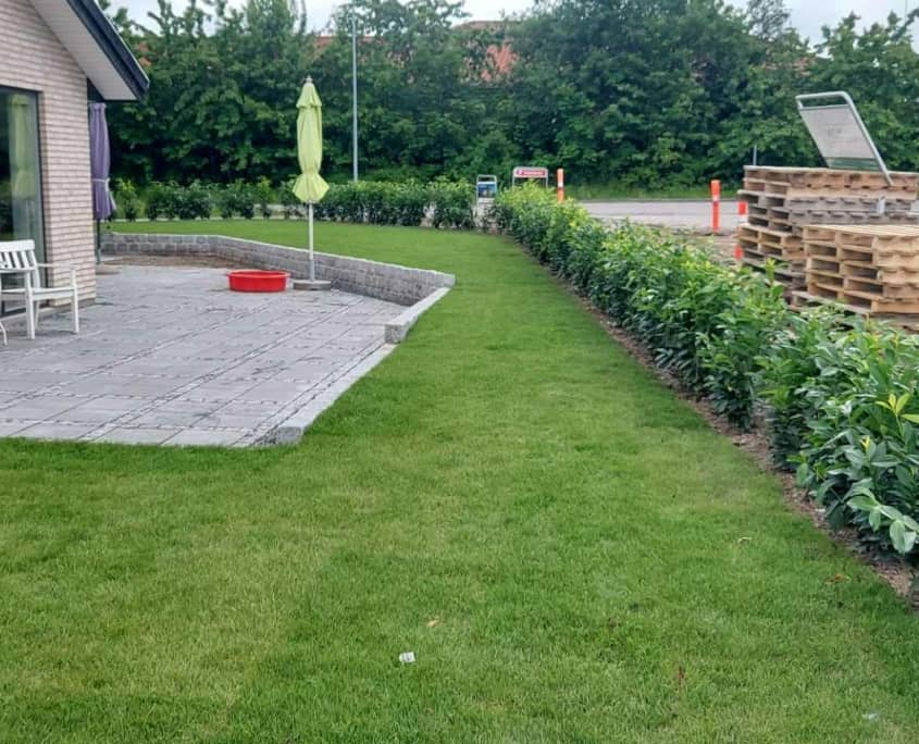 Nyanlæg af have på Sjælland